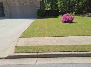 Clarence J.'s Lawn Care service result