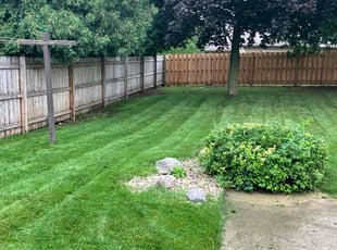 Antonio D.'s Lawn Service service result