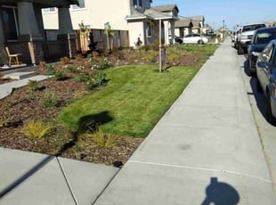 Gary W.'s Lawn Service service result