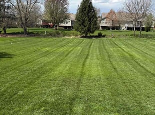 JJoel B.'s Grass Cutting service result