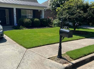 Toni B.'s Lawn Service service result