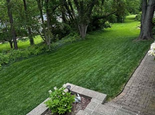 Diana D.'s Yard Cutting service result