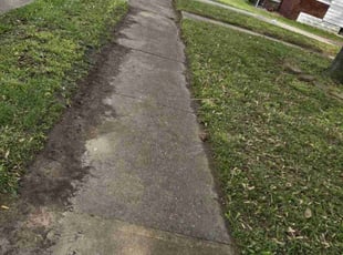 Melessa L.'s Grass Cutting service result
