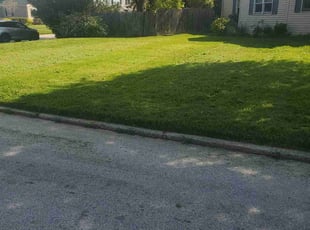 Terry B.'s Lawn Care service result