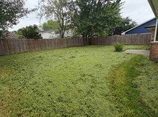 Dakota W.'s Lawn Service service result