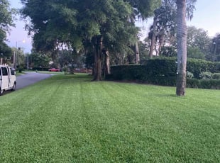 Carla B.'s Lawn Mowing service result