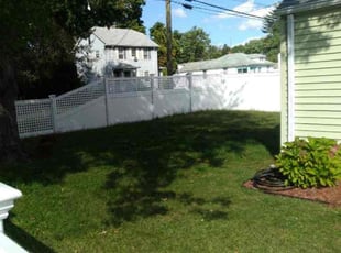 Bush Trimming by Kevin Chapman for Clover T. in Bloomfield, CT