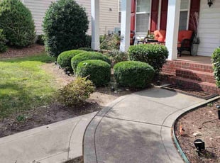 Bush Trimming by Jeremiah Davis for Francisco A. in Charlotte, NC