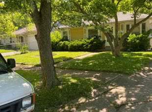 Crystal D.'s Lawn Service service result