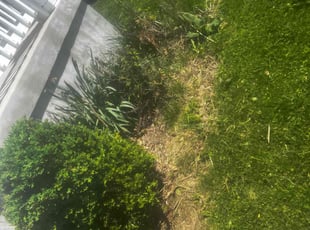Bush Trimming by James Abernathy for Enrique C. in Cincinnati, OH