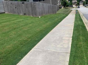 Leslie C.'s Lawn Mowing Service service result