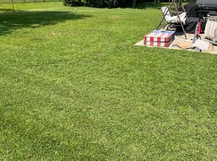 Patricia V.'s Lawn Mowing Service service result