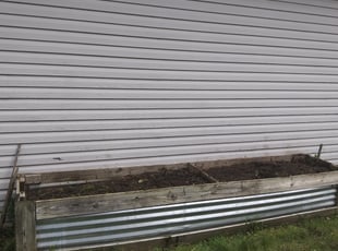 Weeding by James Urbanek for Michael N. in Wyandotte, MI