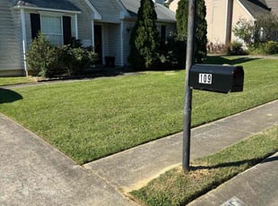 Shauna M.'s Lawn Mowing Service service result