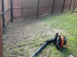 Leaf Removal by Miguel Ybarra for Fred C. in New Braunfels, TX
