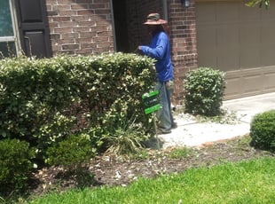 Bush Trimming by Arnold Martin for Kelli Q. in Humble, TX