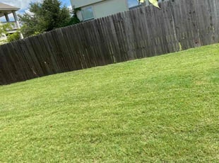 Abhinay R.'s Lawn Mowing Service service result