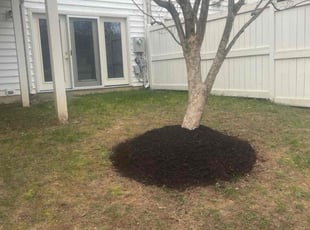 Mulching by Margarito Cardona for Bob M. in Vienna, VA