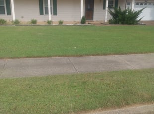 Grant D.'s Grass Cutting service result