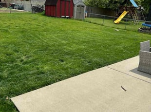 Jason J.'s Lawn Care service result