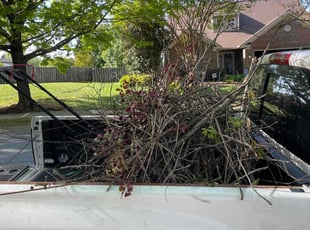 Cleanups by James Nash for Ethan C. in Mooresville, NC