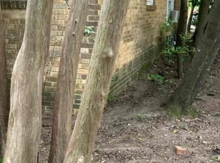Leaf Removal by Gary & Jonathan Willis for Linda W. in Tyler, TX