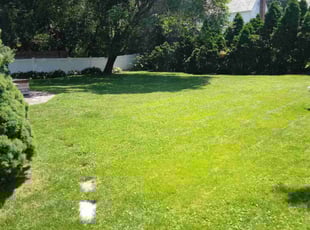 Rohan M.'s Lawn Mowing service result