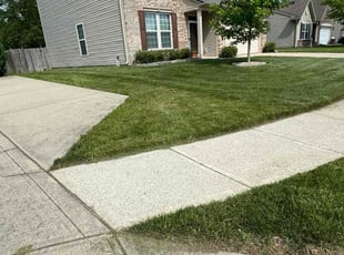 Lester C.'s Lawn Care service result