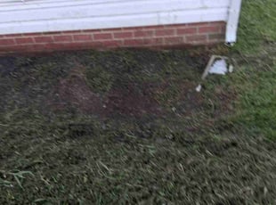 Alexis R.'s Flower Bed Weeding service result