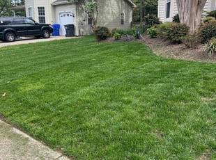Brinda H.'s Lawn Service service result
