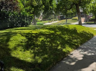 Ray R.'s Lawn Maintenance service result