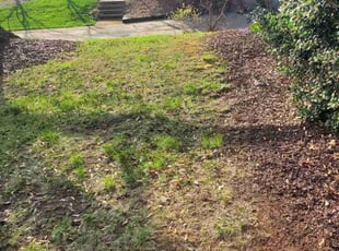 Melanie A.'s Leaf Removal service result