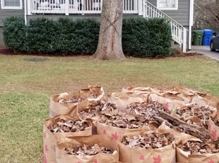 Bush Trimming by Steve Burgess for Kyle B. in Atlanta, GA