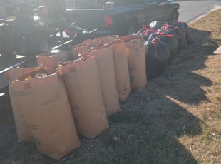 Leaf Removal by Damion Forney for Edwin T. in Kannapolis, NC