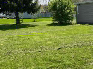 Bush Trimming by Curtis Johnson for Mary C. in Mount Orab, OH