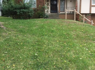 Bush Trimming by Bryan Fletcher for Evelyn R. in Kansas City, MO