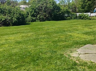 Anita C.'s Grass Cutting service result