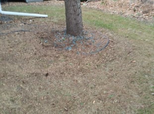 Leaf Removal by Ross Olin for KENYA S. in Eden Prairie, MN