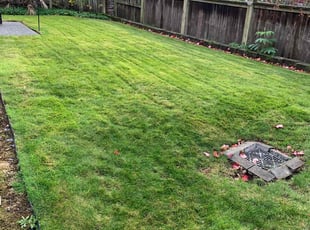 Laura H.'s Grass Cutting service result