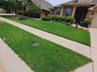 Amy R.'s Yard Cutting service result