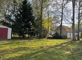 Leaf Removal by Hayden Judy for Scott R. in Chesapeake, VA