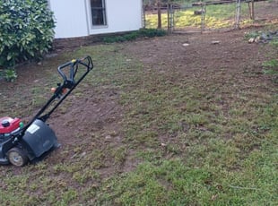 Leaf Removal by Andrew Turner for Nicole S. in Irondale, AL