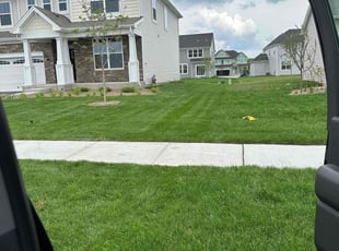 Venkata P.'s Lawn Mowing service result