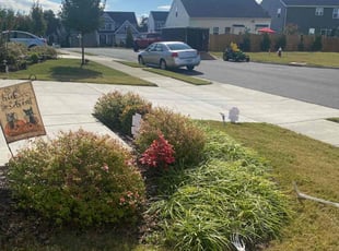 Weeding by Mario Giallombardo for Pamela H. in Stonehouse, VA