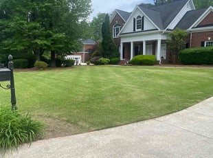 LeKisha B.'s Grass Cutting service result