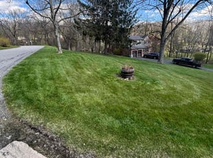 Harold D.'s Lawn Service service result