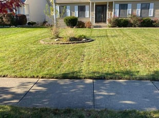 DeIvory H.'s Lawn Care service result