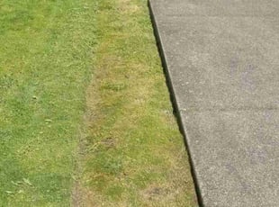 Weeding by Robert Marsico for Richard F. in Portland, OR
