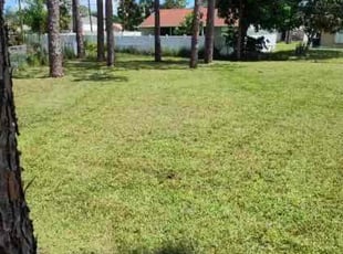 Giancarlo P.'s Lawn Mowing service result