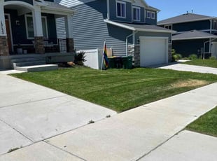 LaTanya S.'s Yard Cutting service result
